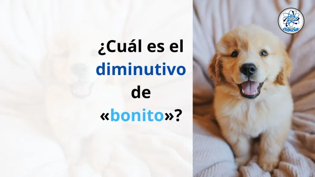 ¿Cuál es el diminutivo de «bonito»? Esta es la forma correcta, según la RAE